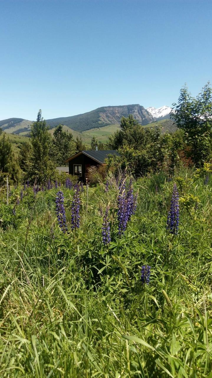 Cabanas Kuyen Coyhaique Buitenkant foto
